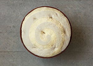 Leavened dough in ceramic bowl