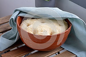 Leavened dough in ceramic bowl photo