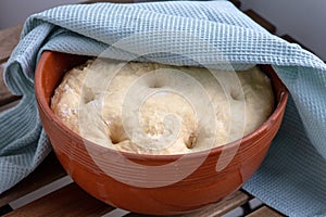 Leavened dough in a clay bowl