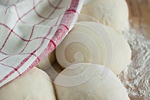 Leavened loaves photo