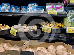 Leavenworth, WA USA - circa December 2022: Close up view of mushrooms for sale inside a Safeway grocery store