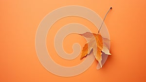 leaves abstract autumn background