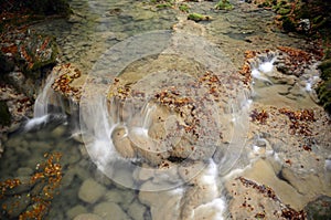 Leaves accumulated in the river. Urederra River Natural Reserve.