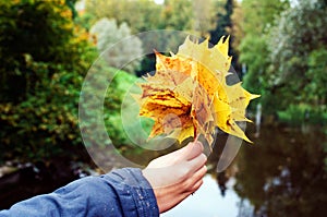 Leaves autumn bouquet