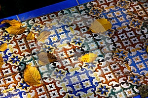 Leaves on the azulejos, Seville photo