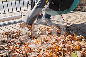 Leaves being vacuumed up a electric corded machine with a collection bag