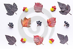 Leaves and berries top view. Autumn composition. Orange and red foliage and small fruits on white background. Fallen leaf and