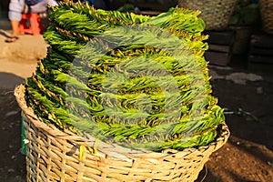 Leaves of betel in a basket