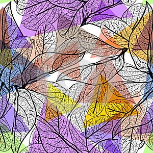 Leaves black contours, Rainbow bright magenta pink orange blue lilac purple modern trendy background. floral seamless pattern, han