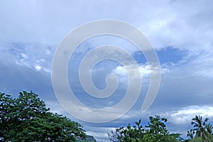 Leaves on the blue sky background