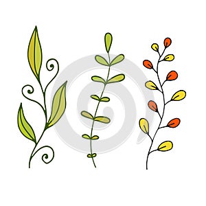 Leaves and branches decoration. Cute nature design. Print decoration with gentle leaves. Stationery floral decor.