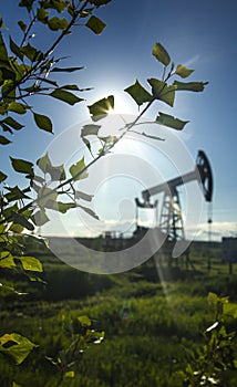 Leaves on the branches of a young aspen in sunlight against the backdrop of a defocused oil pump
