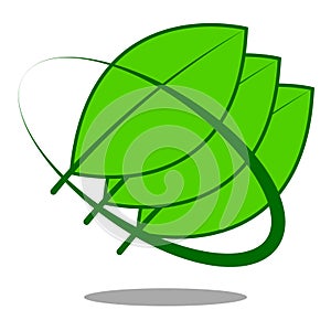 leaves circle logo. botany decoration concept. triple.