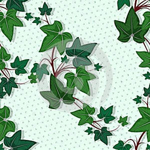 Leaves of a climbing plant on a green background, seamless pattern