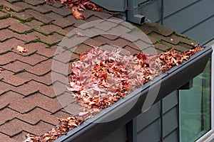 Leaves clogging rain gutters on a roof