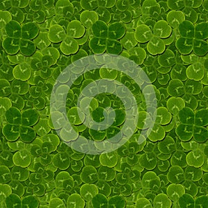 Leaves clover quatrefoil trefoil shamrock pattern photo