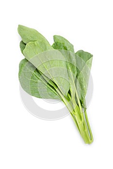 Leaves of collards on background