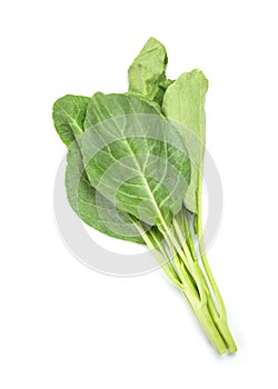 Leaves of collards on background