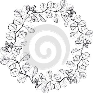 Leaves. Composition inscribed in a circle. Graphics. Floral motives.