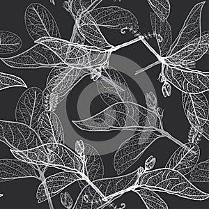 Leaves contours on black background. floral seamless pattern, hand-drawn. Vector