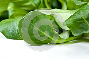 Leaves of corn salad, lamb`s lettuce, common cornsalad, feldsalat