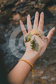 Leaves of different colors on the hand photo