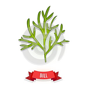 Leaves of dill
