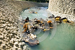 Leaves in drainage ditch photo