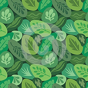 Leaves of exotic plants - creative vector illustration. Floral seamless pattern. Abstract concept background. Tropical summer natu