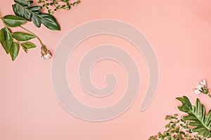 leaves and flower background flatlay on pink or natural color