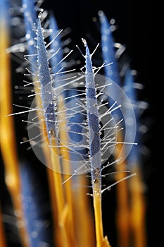 Flower and leave pattern background generative AI