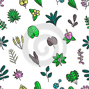 Leaves and foliage floral frondage, seamless pattern vector