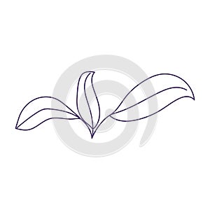 Leaves foliage greeney vegetation plant isolated icon line style