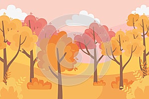 Leaves forest autumn panorama nature trees sky scene
