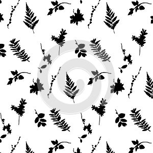 Leaves of forest plants, mountain ash, fern. Black outline on white background, pattern.