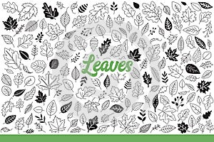 Leaves from forest trees of various types that have fallen in autumn season. Hand drawn doodle.