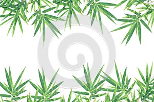 Leaves frame isolated on white background