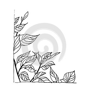 Leaves frame, vector hand drawn illustration