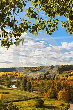 Leaves Framing The Fall River Valley