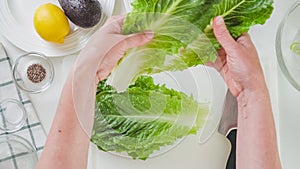 Leaves of fresh green lettuce close-up on white background, flat lay, woman hands