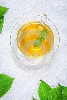 Leaves of fresh green nettle and a clear glass cup of herbal nettle tea on a gray concrete table.