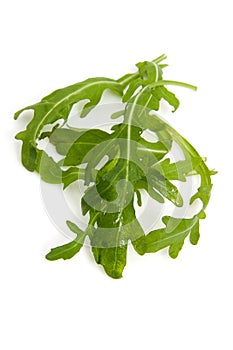 Leaves of fresh Ruccola lettuce