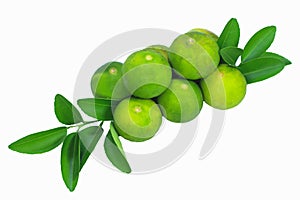 Leaves and fruit of limes Isolated with clipping path on a white background. Top view