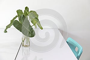 Leaves in glass vase on white table and green chair.