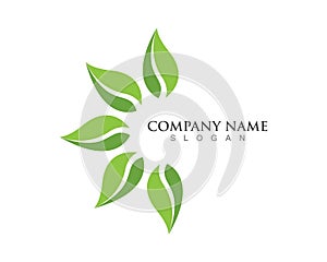 leaves green nature logo and symbol