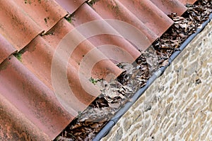 leaves in gutter