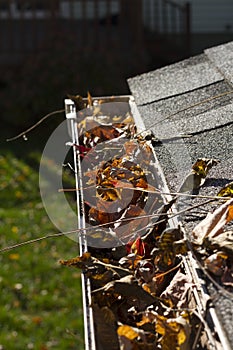 Leaves in Gutter Above