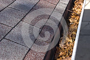 Leaves in Gutter, Home Maintenance and Repair