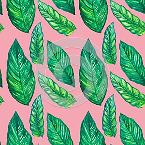 Seamless pattern with tropical leaves.