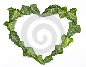 Leaves heart